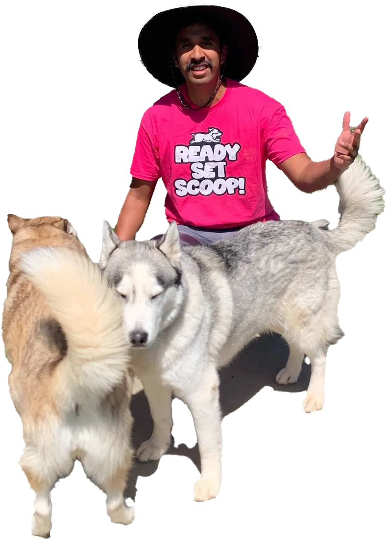 co-owner with two huskies