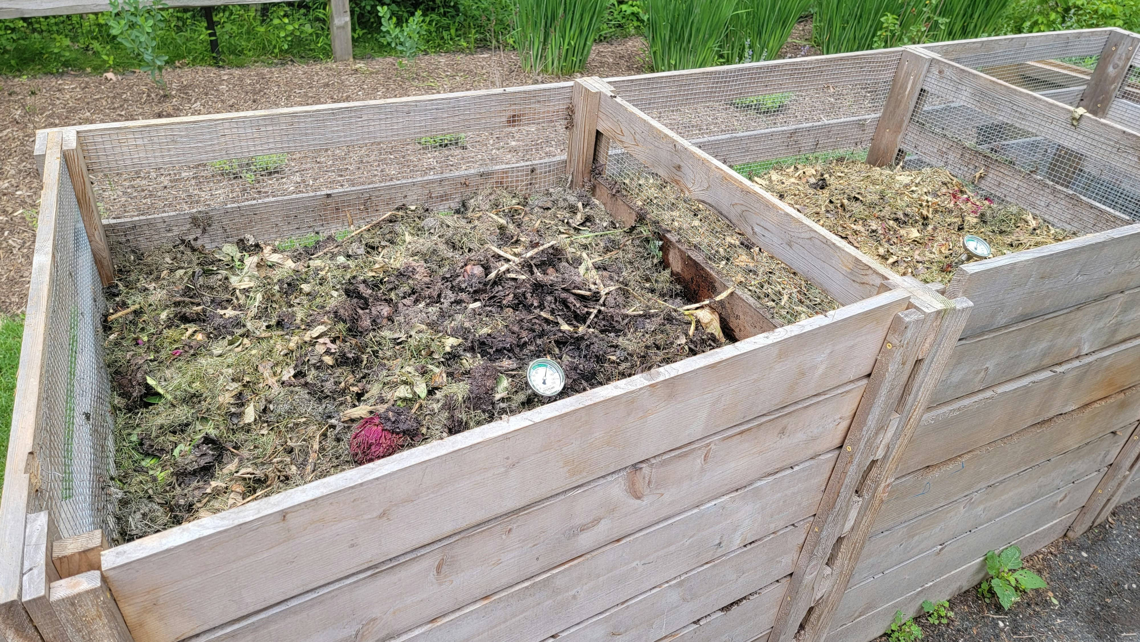 The Truth About Dog Waste Composting